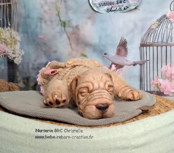 Benni Simon Laurens  (8)